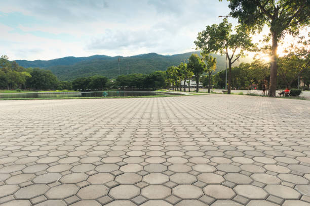 Best Driveway Pavers for Homes  in Lexington, KY